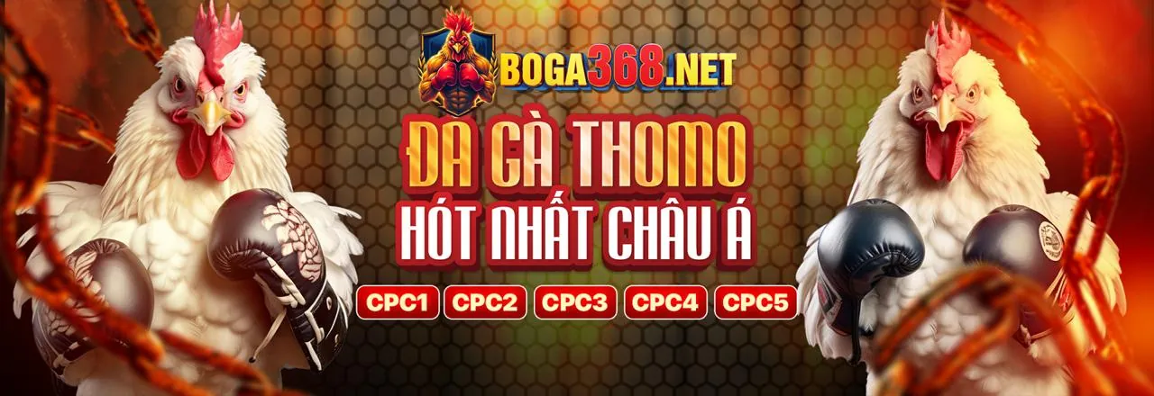 Đá Gà Trực Tuyến Hấp Dẫn tại 678win Xổ Số